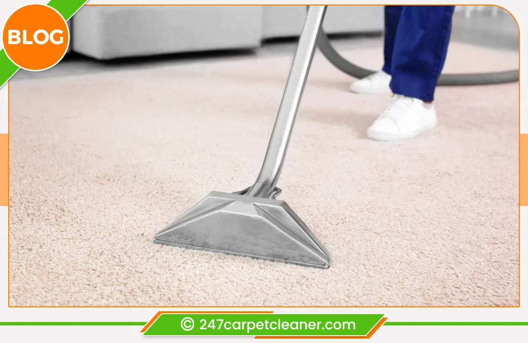 carpet cleaners in Staten Island, carpet cleaning in Staten Island, carpet cleaning staten island, carpet cleaners in staten island, commercial carpet cleaning, commercial carpet cleaning in staten island,carpet cleaning in staten island, staten island rug cleaners, rug cleaning services in staten island, same day carpet cleaning, same day rug cleaning