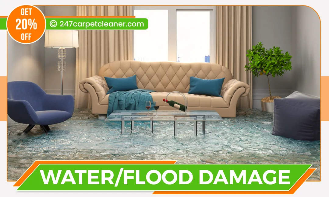 carpet cleaners in Staten Island, carpet cleaning in Staten Island, carpet cleaning staten island, carpet cleaners in staten island, commercial carpet cleaning, commercial carpet cleaning in staten island,carpet cleaning in staten island, staten island rug cleaners, rug cleaning services in staten island, same day carpet cleaning, same day rug cleaning
