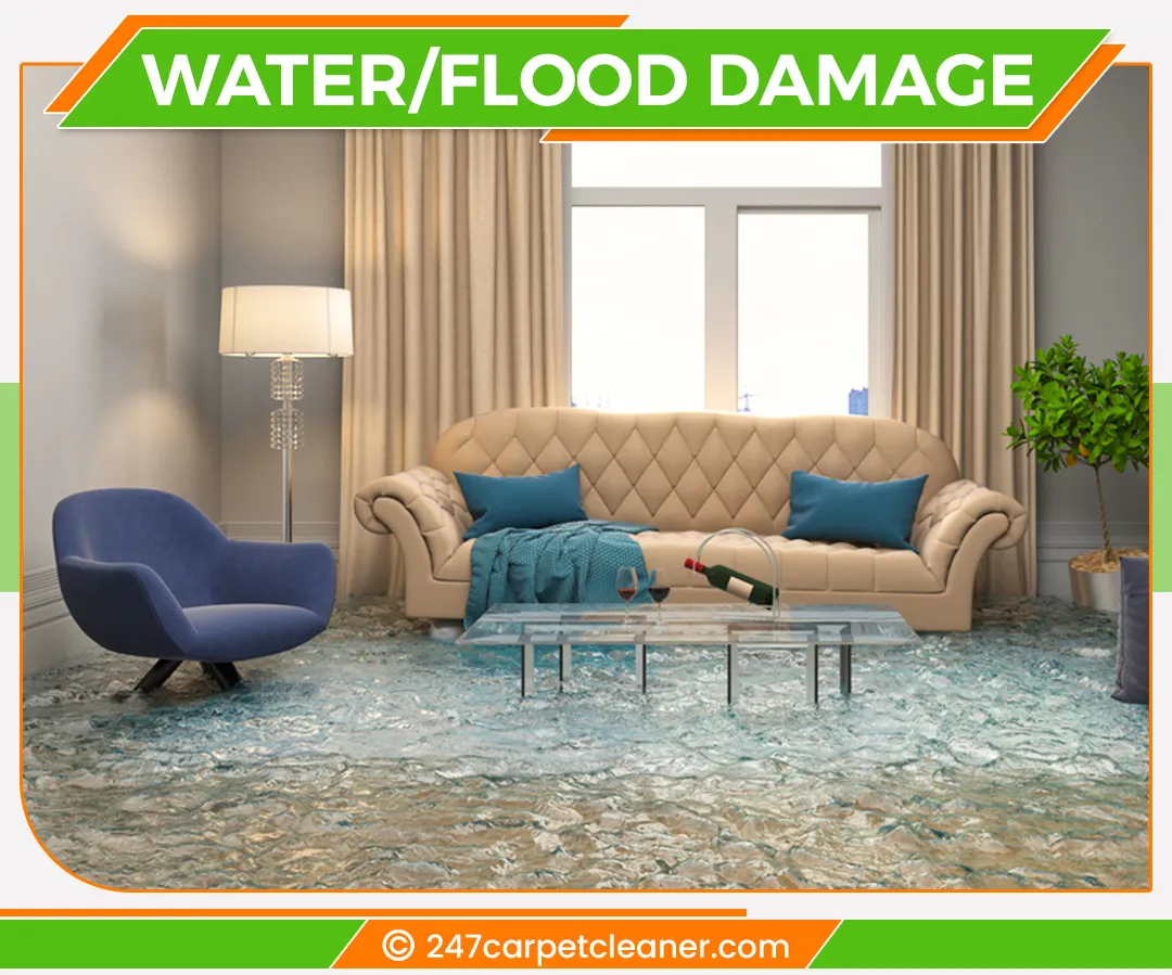 carpet cleaners in Staten Island, carpet cleaning in Staten Island, carpet cleaning staten island, carpet cleaners in staten island,  commercial carpet cleaning, commercial carpet cleaning in staten island,carpet cleaning in staten island,  staten island rug cleaners, rug cleaning services in staten island, same day carpet cleaning, same day rug cleaning