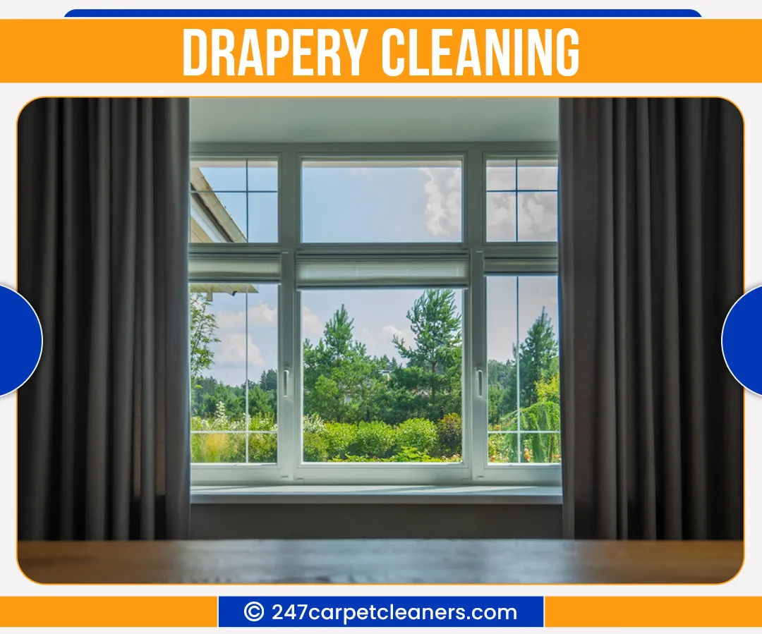 carpet cleaners in Nassau, carpet cleaning in Nassau, carpet cleaning nassau, carpet cleaners in nassau,  commercial carpet cleaning, commercial carpet cleaning in nassau,carpet cleaning in nassau,  nassau rug cleaners, rug cleaning services in nassau, same day carpet cleaning, same day rug cleaning