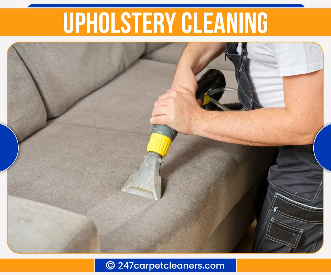 carpet cleaners in Nassau, carpet cleaning in Nassau, carpet cleaning nassau, carpet cleaners in nassau,  commercial carpet cleaning, commercial carpet cleaning in nassau,carpet cleaning in nassau,  nassau rug cleaners, rug cleaning services in nassau, same day carpet cleaning, same day rug cleaning