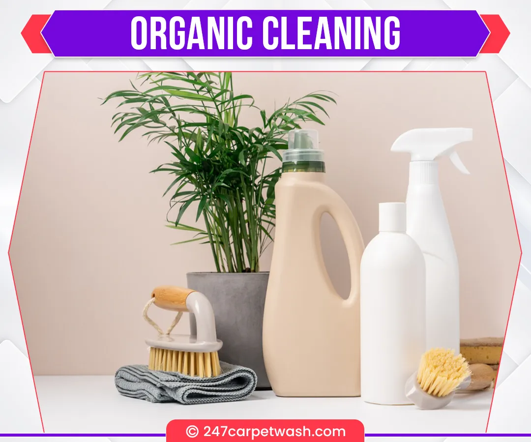 carpet cleaners in Brooklyn, carpet cleaning in Brooklyn, carpet cleaning bkln, carpet cleaners in brooklyn,  commercial carpet cleaning, commercial carpet cleaning in brooklyn,carpet cleaning in brooklyn,  brooklyn rug cleaners, rug cleaning services in brooklyn, same day carpet cleaning, same day rug cleaning