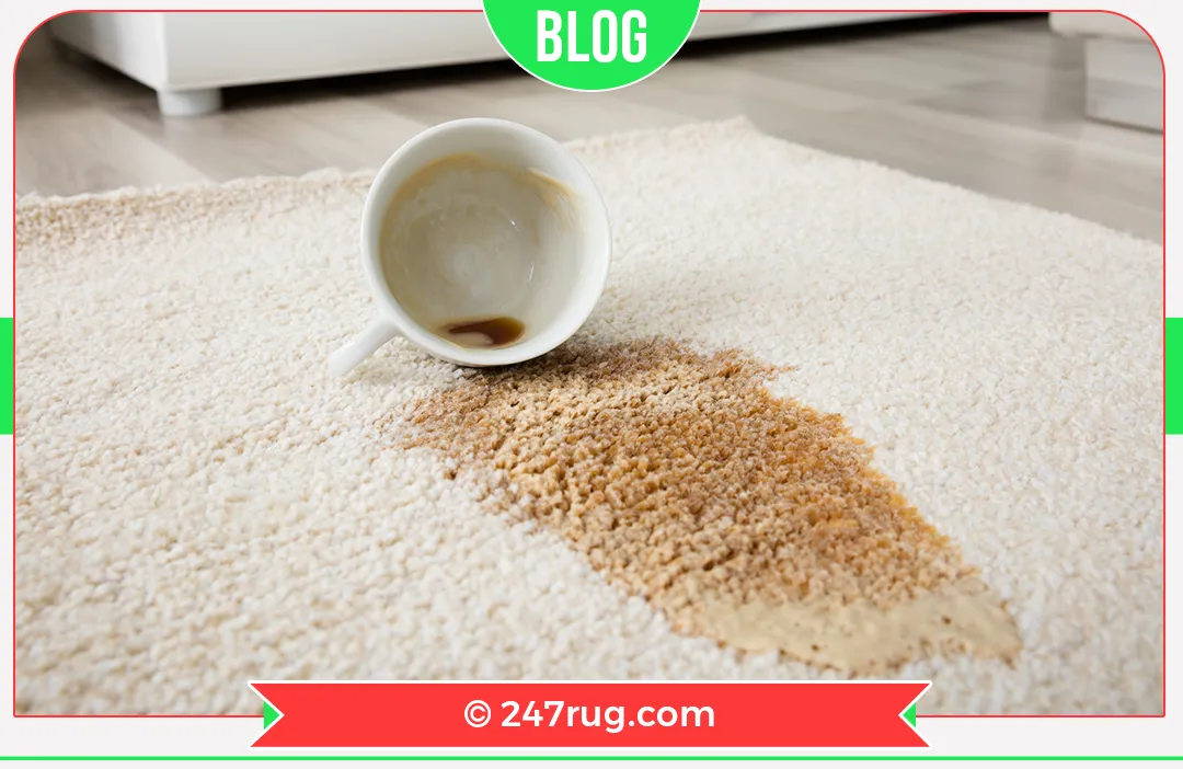 carpet cleaners in Nassau, carpet cleaning in Nassau, carpet cleaning Nassau, carpet cleaners in Nassau,  commercial carpet cleaning, commercial carpet cleaning in v,carpet cleaning in Nassau,  Nassau rug cleaners, rug cleaning services in Nassau, same day carpet cleaning, same day rug cleaning