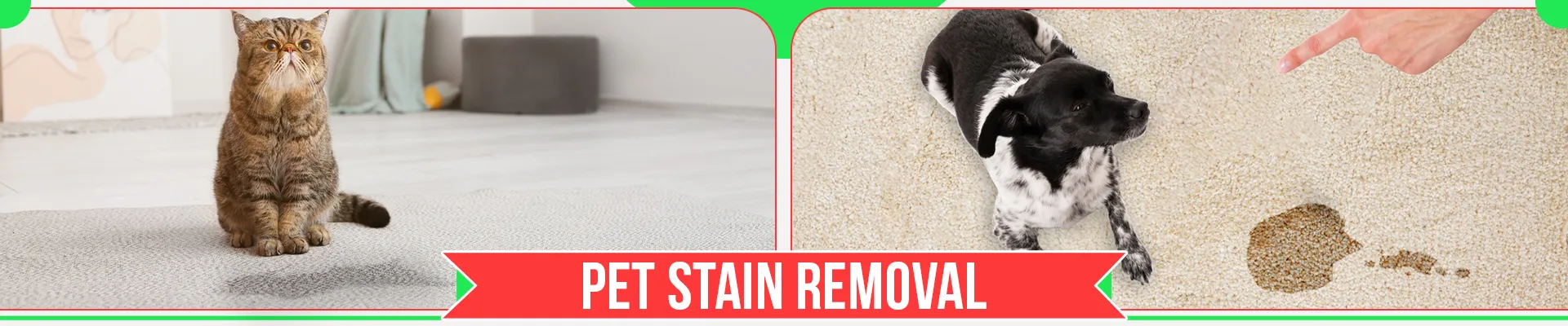 carpet cleaners in Nassau, carpet cleaning in Nassau, carpet cleaning Nassau, carpet cleaners in Nassau,  commercial carpet cleaning, commercial carpet cleaning in v,carpet cleaning in Nassau,  Nassau rug cleaners, rug cleaning services in Nassau, same day carpet cleaning, same day rug cleaning