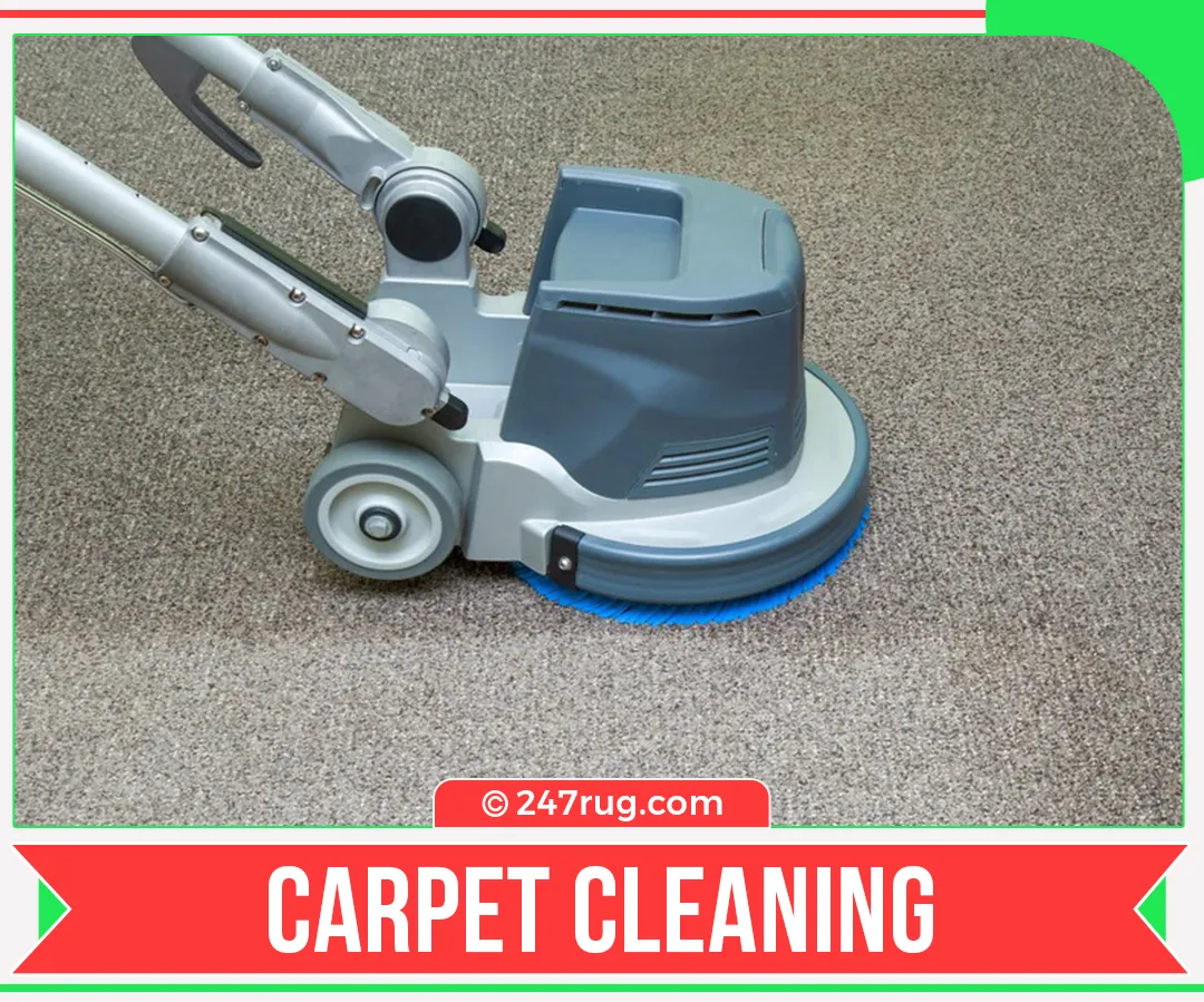 carpet cleaners in Nassau, carpet cleaning in Nassau, carpet cleaning bkln, carpet cleaners in Nassau,  commercial carpet cleaning, commercial carpet cleaning in Nassau,carpet cleaning in Nassau,  Nassau rug cleaners, rug cleaning services in Nassau, same day carpet cleaning, same day rug cleaning