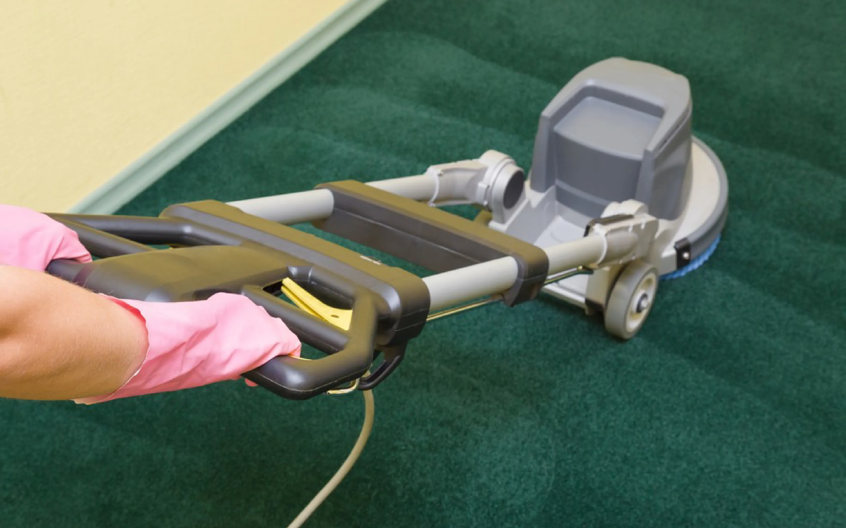 carpet cleaners in Brooklyn, carpet cleaning in Brooklyn, carpet cleaning bkln, carpet cleaners in brooklyn,  commercial carpet cleaning, commercial carpet cleaning in brooklyn,carpet cleaning in brooklyn,  brooklyn rug cleaners, rug cleaning services in brooklyn, same day carpet cleaning, same day rug cleaning