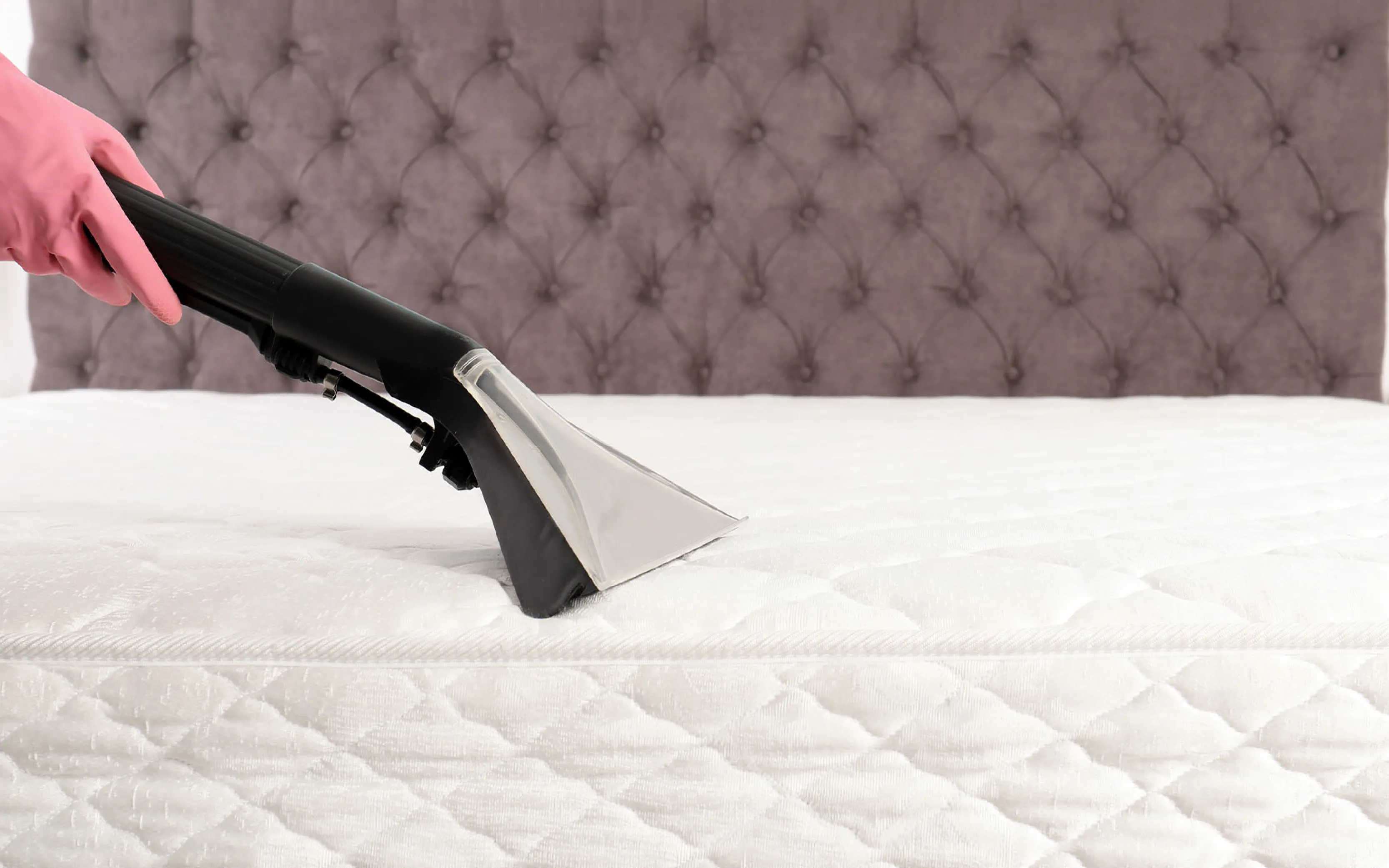 carpet cleaners in Brooklyn, carpet cleaning in Brooklyn, carpet cleaning bkln, carpet cleaners in brooklyn,  commercial carpet cleaning, commercial carpet cleaning in brooklyn,carpet cleaning in brooklyn,  brooklyn rug cleaners, rug cleaning services in brooklyn, same day carpet cleaning, same day rug cleaning