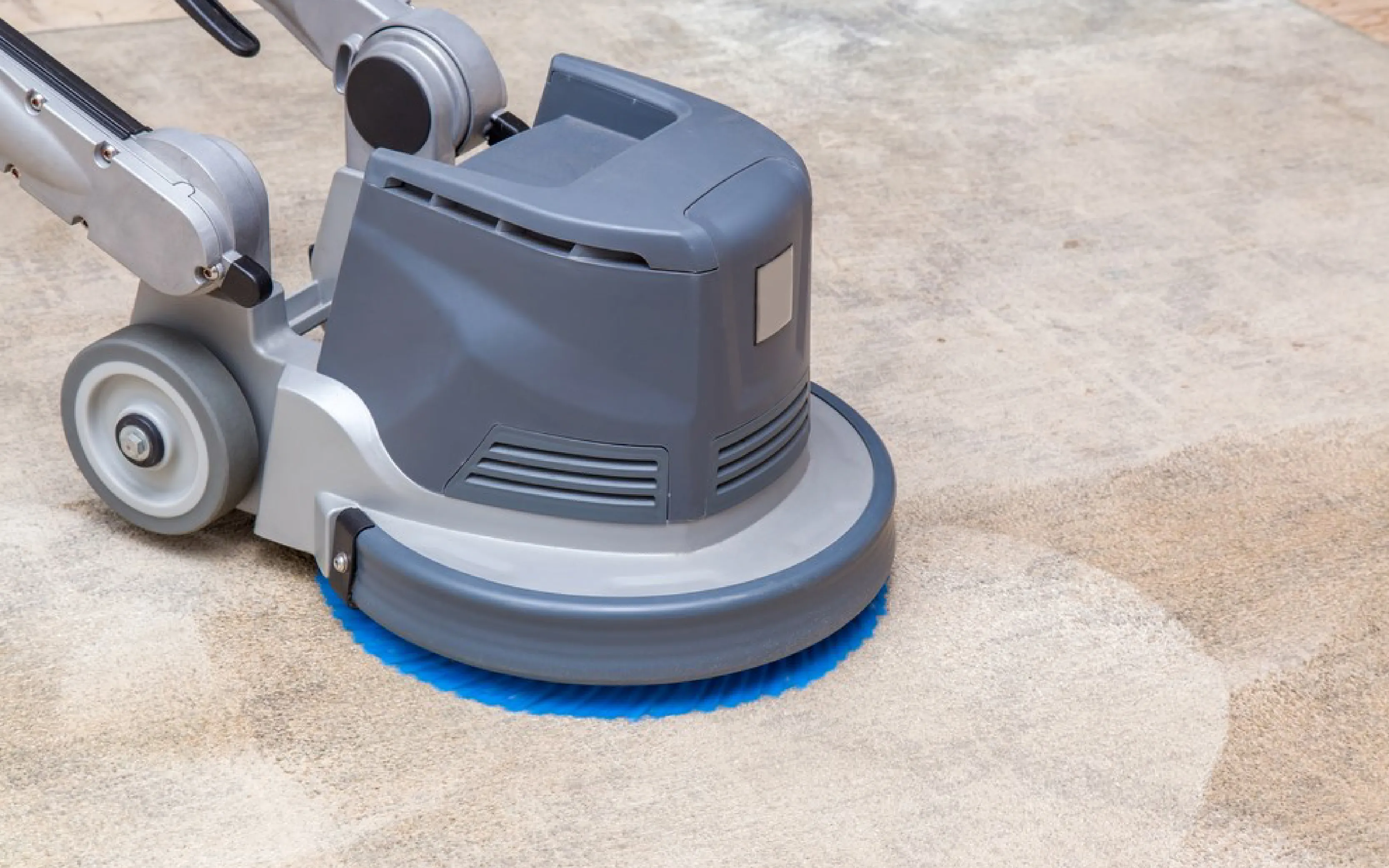 carpet cleaning in queens, carpet cleaning queens, carpet cleaners in queens, carpet cleaners in queens, commercial carpet cleaning, commercial carpet cleaning in queens, queens rug cleaners, rug cleaning services in queens, same day carpet cleaning, same day rug cleaning in queens