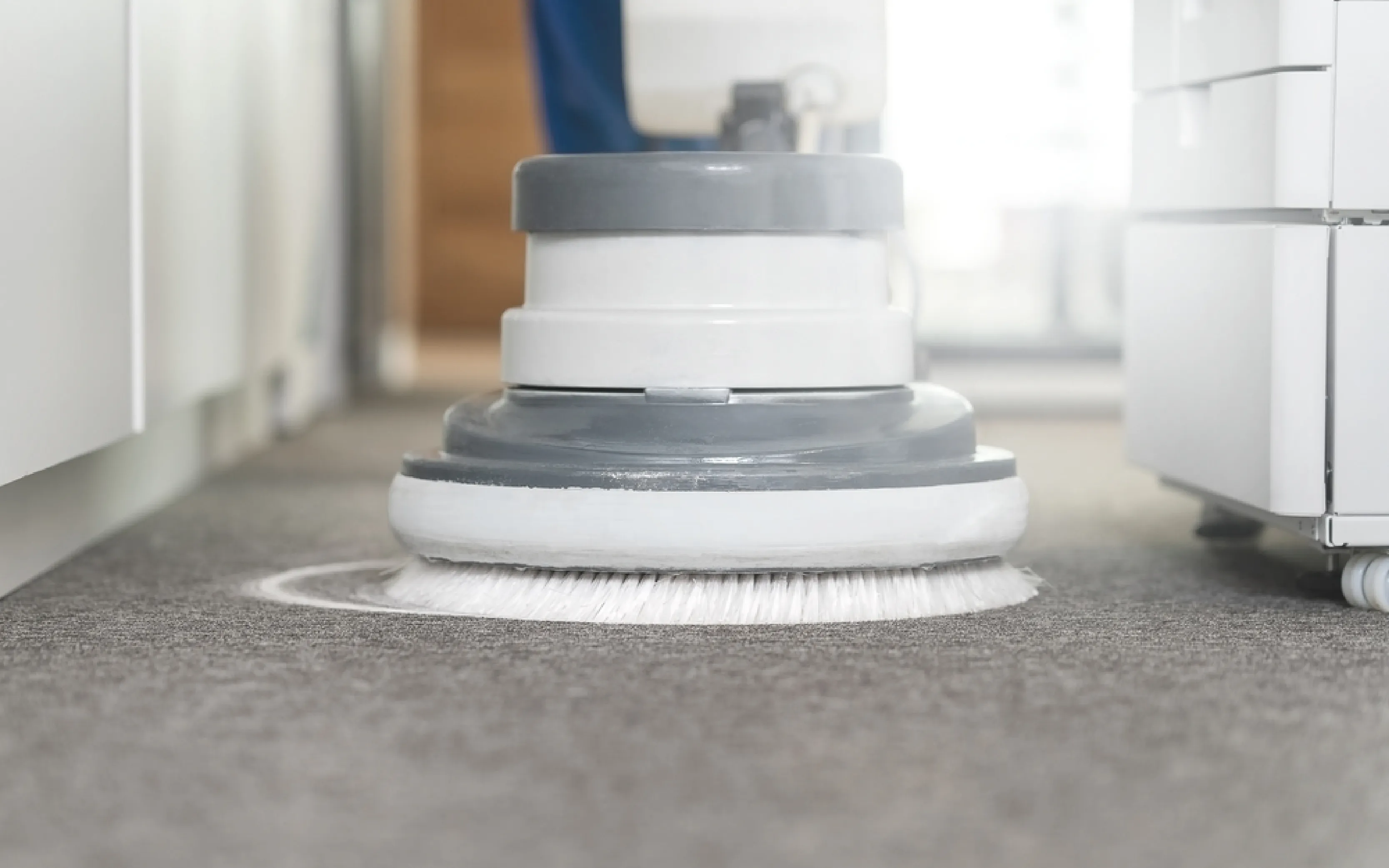 carpet cleaning in queens, carpet cleaning queens, carpet cleaners in queens, carpet cleaners in queens, commercial carpet cleaning, commercial carpet cleaning in queens, queens rug cleaners, rug cleaning services in queens, same day carpet cleaning, same day rug cleaning in queens