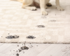 carpet cleaning in queens, carpet cleaning queens, carpet cleaners in queens, carpet cleaners in queens, commercial carpet cleaning, commercial carpet cleaning in queens, queens rug cleaners, rug cleaning services in queens, same day carpet cleaning, same day rug cleaning in queens