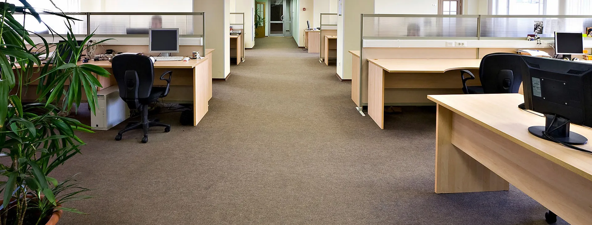carpet cleaning in ny, carpet cleaner in ny, carpet cleaners in ny, carpet cleaners in ny, drapery cleaners in ny, carpet cleaning in ny, mattress cleaning in ny, mattress cleaners in ny, commercial carpet cleaning, commercial carpet cleaners in ny, ny rug cleaners, rug cleaning services in ny same day carpet cleaning, same day rug cleaning