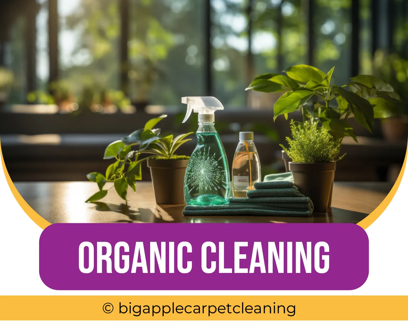 carpet cleaning in new york, carpet cleaning new york, carpet cleaners in new york, carpet cleaners in new york, commercial carpet cleaning, commercial carpet cleaning in new york, new york rug cleaners, rug cleaning services in new york, same day carpet cleaning, same day rug cleaning in new york