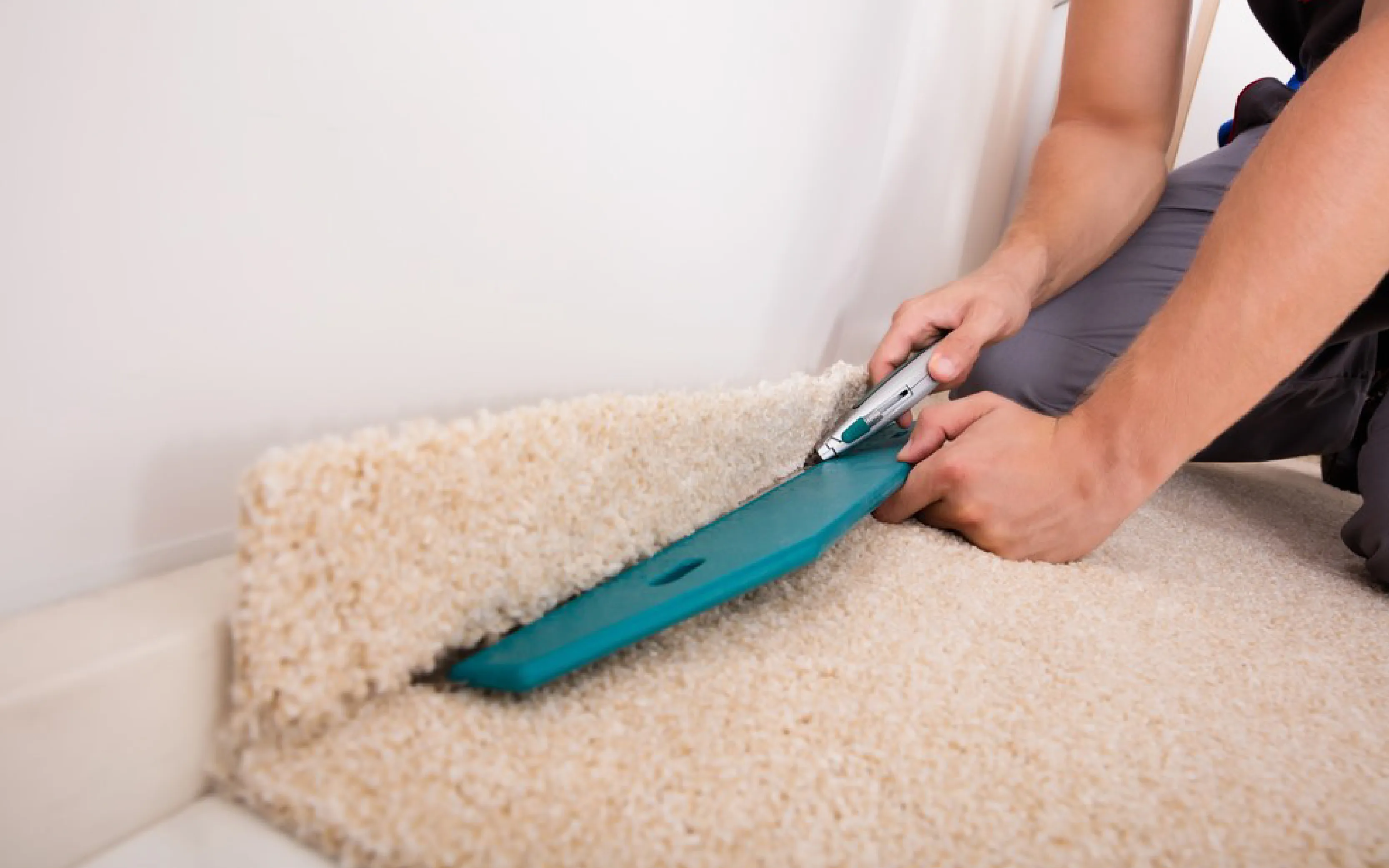 carpet cleaning in new york, carpet cleaning new york, carpet cleaners in new york, carpet cleaners in new york, commercial carpet cleaning, commercial carpet cleaning in new york, new york rug cleaners, rug cleaning services in new york, same day carpet cleaning, same day rug cleaning in new york