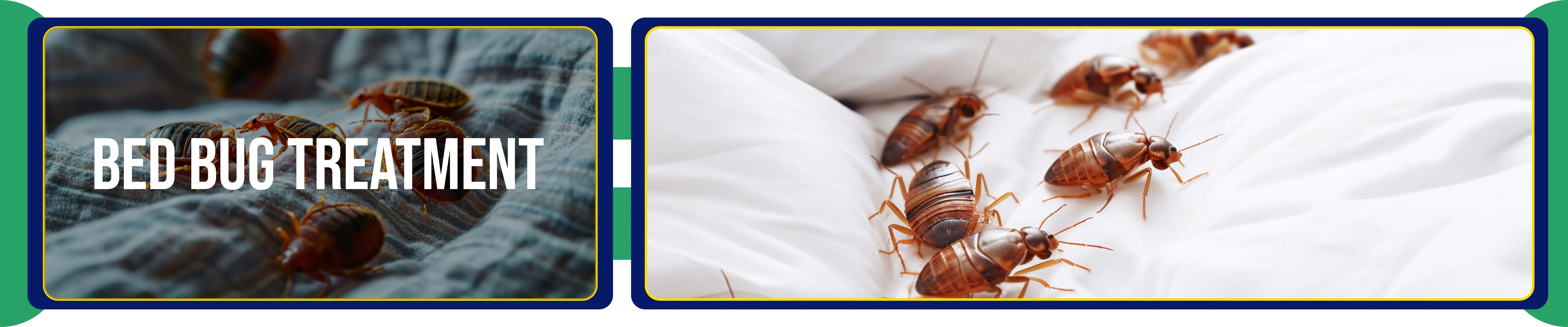 carpet cleaners in Brooklyn, carpet cleaning in Brooklyn, carpet cleaning bkln, carpet cleaners in brooklyn,  commercial carpet cleaning, commercial carpet cleaning in brooklyn,carpet cleaning in brooklyn,  brooklyn rug cleaners, rug cleaning services in brooklyn, same day carpet cleaning, same day rug cleaning