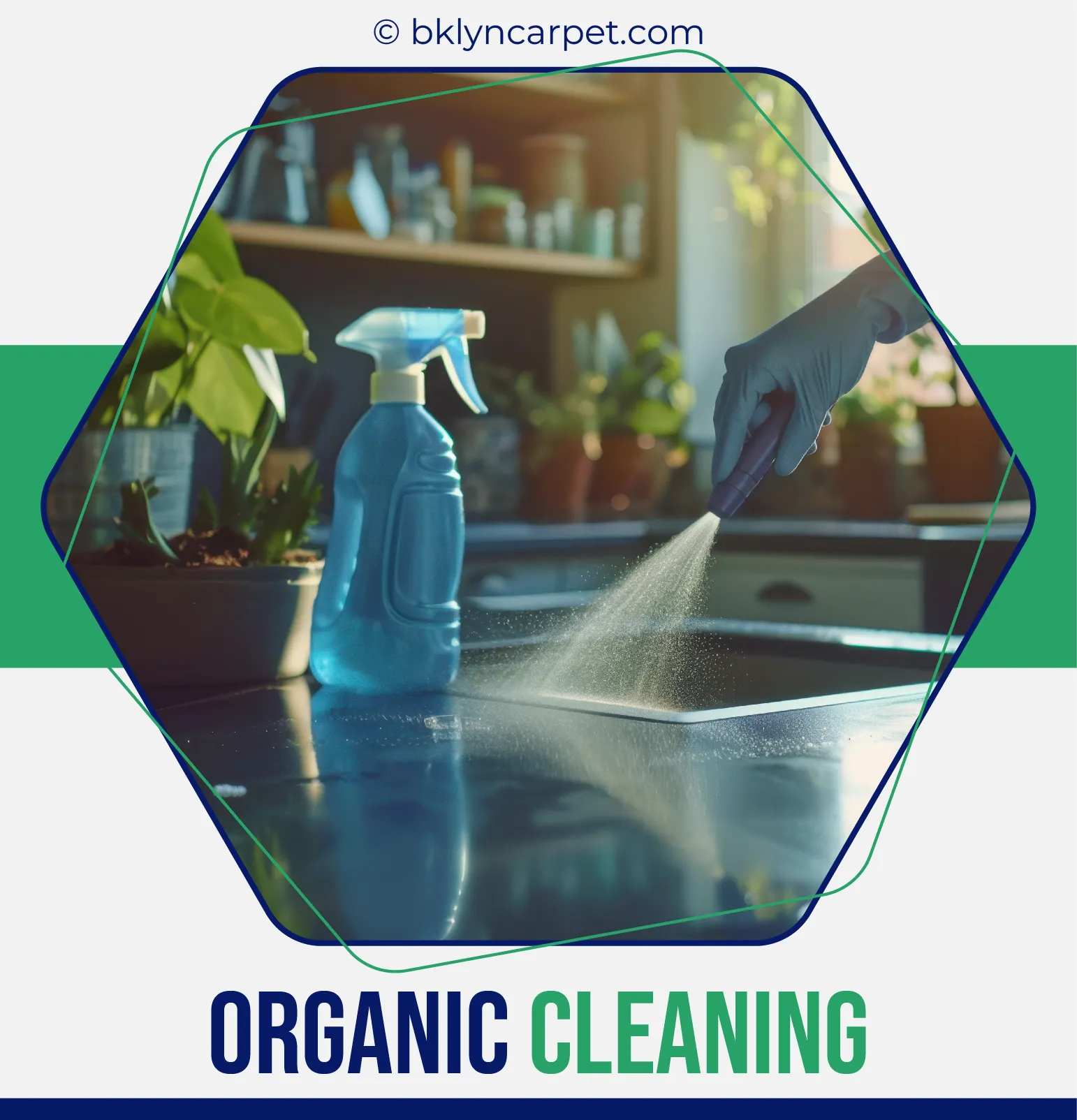carpet cleaners in Brooklyn, carpet cleaning in Brooklyn, carpet cleaning bkln, carpet cleaners in brooklyn,  commercial carpet cleaning, commercial carpet cleaning in brooklyn,carpet cleaning in brooklyn,  brooklyn rug cleaners, rug cleaning services in brooklyn, same day carpet cleaning, same day rug cleaning