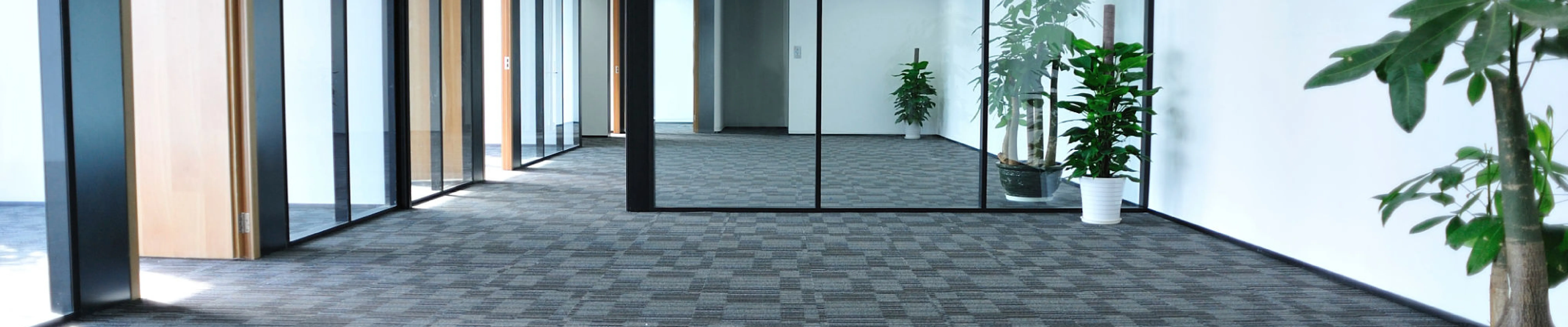 carpet cleaning in new york, carpet cleaning new york, carpet cleaners in new york, carpet cleaners in new york, commercial carpet cleaning, commercial carpet cleaning in new york, new york rug cleaners, rug cleaning services in new york, same day carpet cleaning, same day rug cleaning in new york