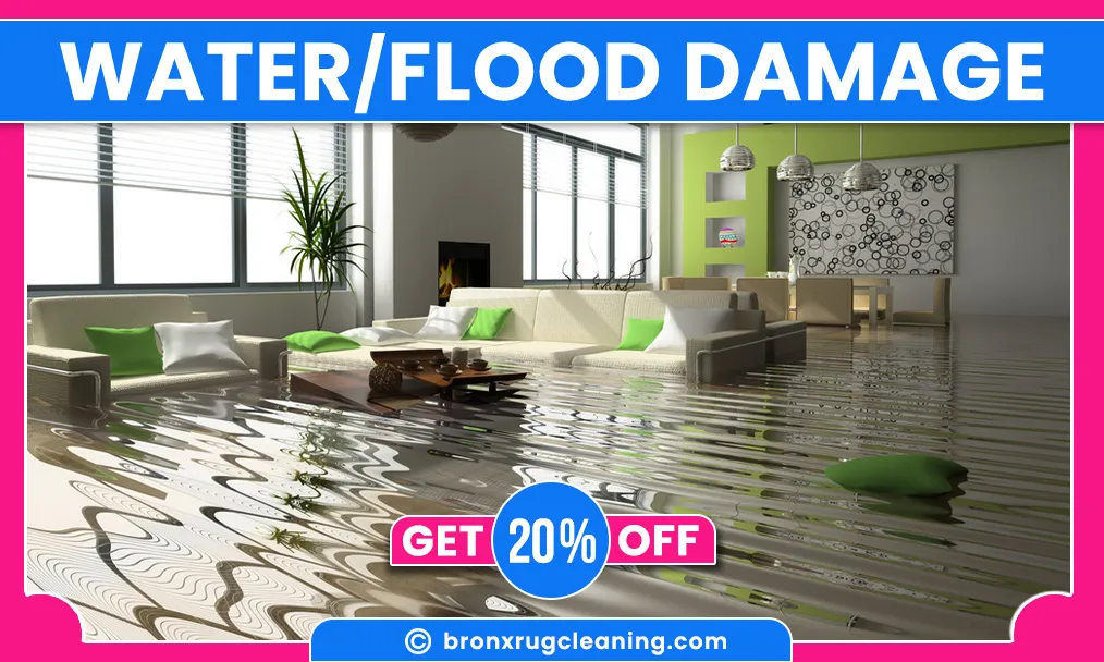 carpet cleaning in bronx, carpet cleaning in new york, carpet cleaning bronx, carpet cleaners in bronx, carpet cleaners in new york, commercial carpet cleaning, commercial carpet cleaning in bronx, bronx rug cleaners, rug cleaning services in bronx, same day carpet cleaning, same day rug cleaning
