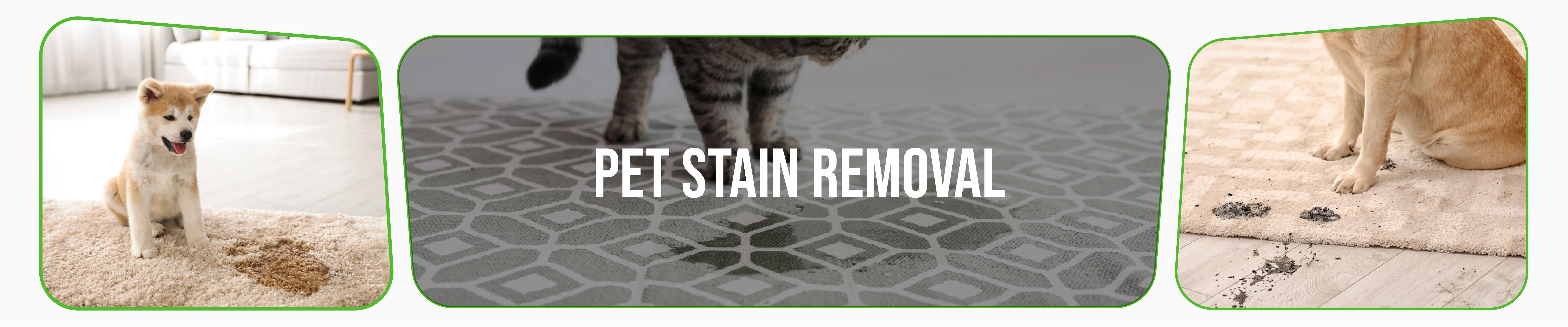 carpet cleaning in brooklyn, carpet cleaning in brooklyn, carpet cleaning brooklyn, carpet cleaners in brooklyn, carpet cleaners in brooklyn, commercial carpet cleaning, commercial carpet cleaning in brooklyn, brooklyn rug cleaners, rug cleaning services in brooklyn, same day carpet cleaning, same day rug cleaning