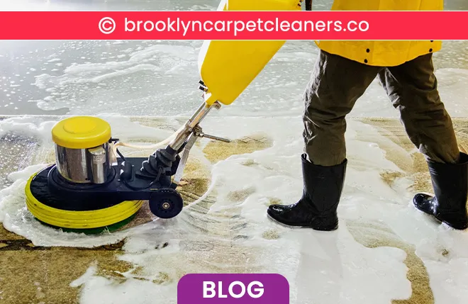 carpet cleaning in brooklyn, carpet cleaning in new york, carpet cleaning brooklyn, carpet cleaners in brooklyn, carpet cleaners in new york, commercial carpet cleaning, commercial carpet cleaning in brooklyn, brooklyn rug cleaners, rug cleaning services in brooklyn, same day carpet cleaning, same day rug cleaning