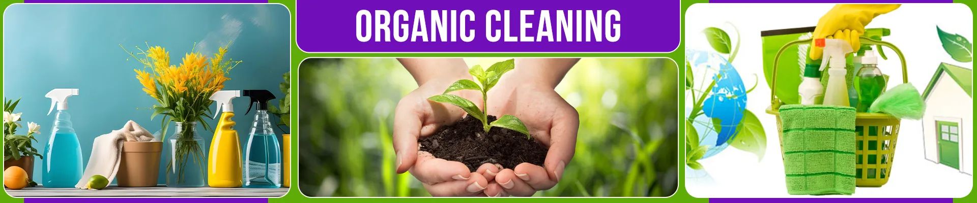 carpet cleaning in brooklyn, carpet cleaning in new york, carpet cleaning brooklyn, carpet cleaners in brooklyn, carpet cleaners in new york, commercial carpet cleaning, commercial carpet cleaning in brooklyn, brooklyn rug cleaners, rug cleaning services in brooklyn, same day carpet cleaning, same day rug cleaning