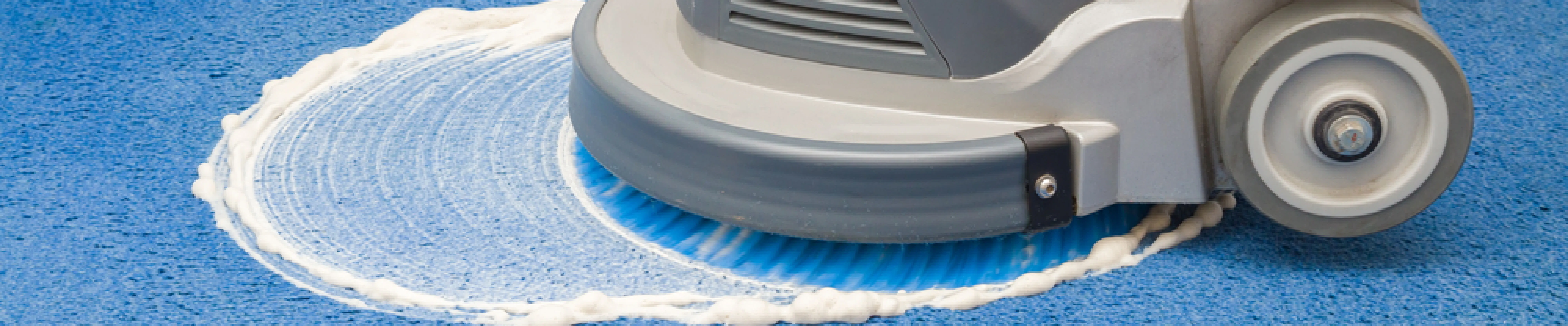 carpet cleaning in queens, carpet cleaning queens, carpet cleaners in queens, carpet cleaners in queens, commercial carpet cleaning, commercial carpet cleaning in queens, queens rug cleaners, rug cleaning services in queens, same day carpet cleaning, same day rug cleaning in queens