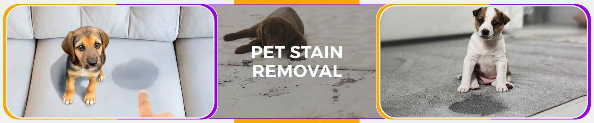 carpet cleaning in manhattan, carpet cleaning manhattan, carpet cleaners in manhattan, carpet cleaners in manhattan, commercial carpet cleaning, commercial carpet cleaning in manhattan, manhattan rug cleaners, rug cleaning services in manhattan, same day carpet cleaning, same day rug cleaning in manhattan