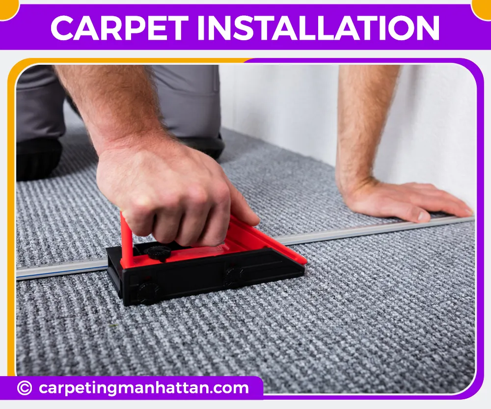 carpet cleaning in manhattan, carpet cleaning manhattan, carpet cleaners in manhattan, carpet cleaners in manhattan, commercial carpet cleaning, commercial carpet cleaning in manhattan, manhattan rug cleaners, rug cleaning services in manhattan, same day carpet cleaning, same day rug cleaning in manhattan