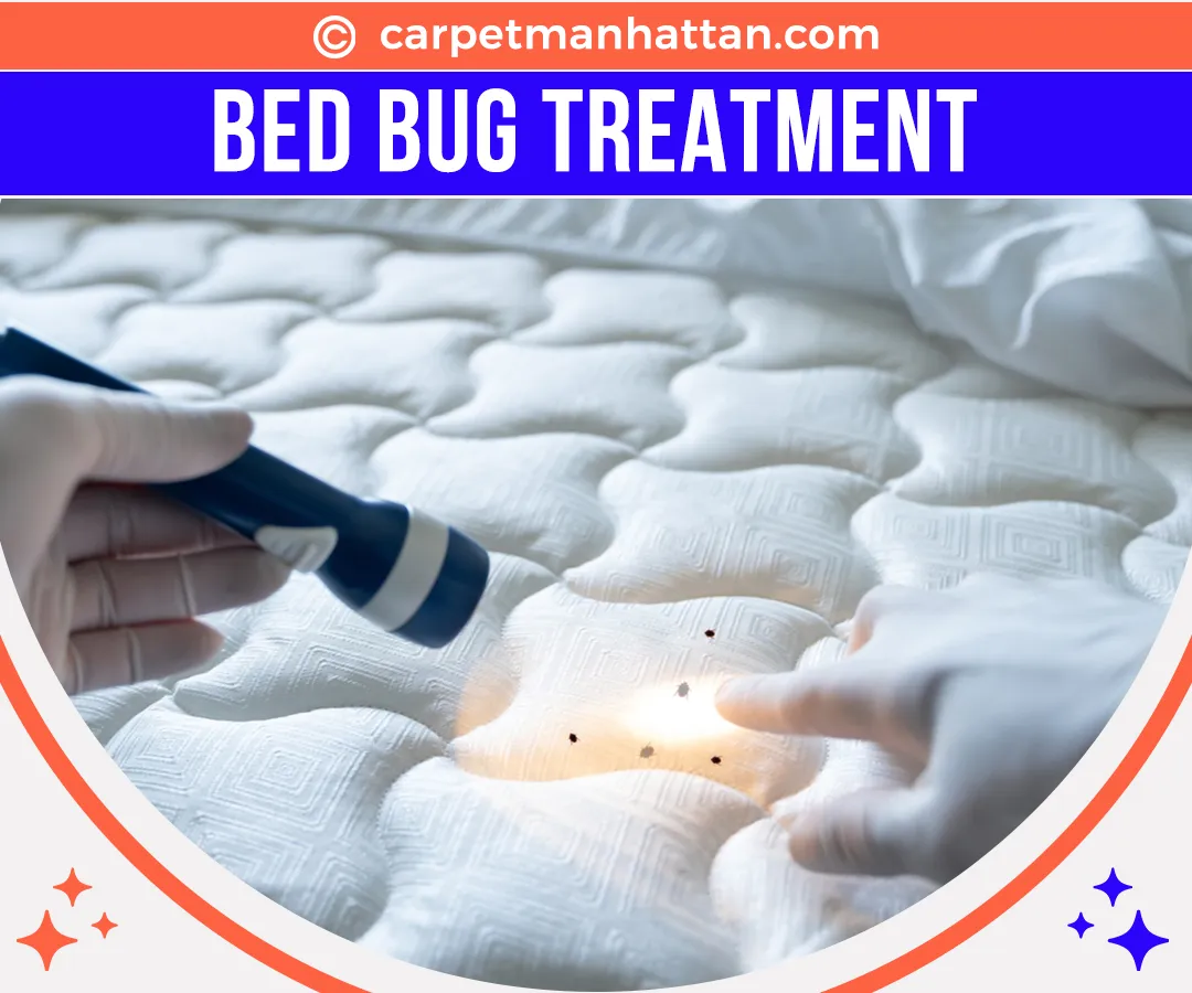 carpet cleaning in manhattan, carpet cleaning manhattan, carpet cleaners in manhattan, carpet cleaners in manhattan, commercial carpet cleaning, commercial carpet cleaning in manhattan, manhattan rug cleaners, rug cleaning services in manhattan, same day carpet cleaning, same day rug cleaning in manhattan
