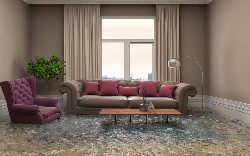 carpet cleaning in new jersey, carpet cleaning in new jersey, carpet cleaning new jersey, carpet cleaners in new jersey, carpet cleaners in new jersey, commercial carpet cleaning, commercial carpet cleaning in new jersey, new jersey rug cleaners, rug cleaning services in new jersey, same day carpet cleaning, same day rug cleaning