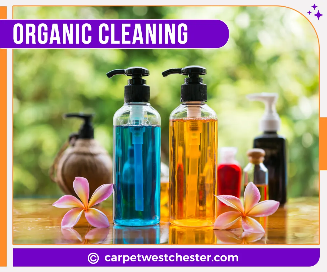 carpet cleaning in Westchester, carpet cleaning in the Westchester, carpet cleaning Westchester, carpet cleaners in Westchester, carpet cleaners in the Westchester, commercial carpet cleaning, commercial carpet cleaning in Westchester, Westchester rug cleaners, rug cleaning services in Westchester, same day carpet cleaning, same day rug cleaning