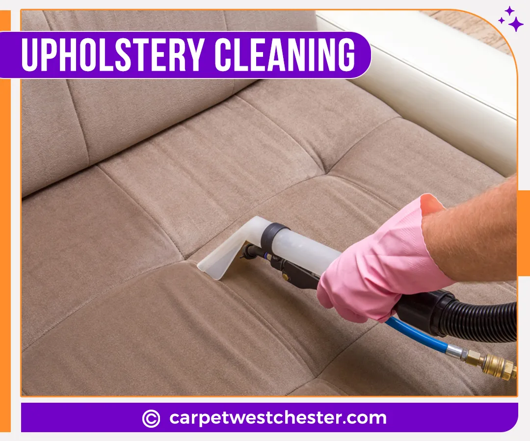 carpet cleaning in Westchester, carpet cleaning in the Westchester, carpet cleaning Westchester, carpet cleaners in Westchester, carpet cleaners in the Westchester, commercial carpet cleaning, commercial carpet cleaning in Westchester, Westchester rug cleaners, rug cleaning services in Westchester, same day carpet cleaning, same day rug cleaning