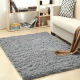 carpet cleaning in NYC, carpet cleaning in new york, carpet cleaning NYC, carpet cleaners in NYC, carpet cleaners in new york, commercial carpet cleaning, commercial carpet cleaning in NYC, NYC rug cleaners, rug cleaning services in NYC, same day carpet cleaning, same day rug cleaning