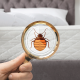 carpet cleaning in New York, carpet cleaning in new york, carpet cleaning New York, carpet cleaners in New York, carpet cleaners in new york, commercial carpet cleaning, commercial carpet cleaning in New York, New York rug cleaners, rug cleaning services in New York, same day carpet cleaning, same day rug cleaning